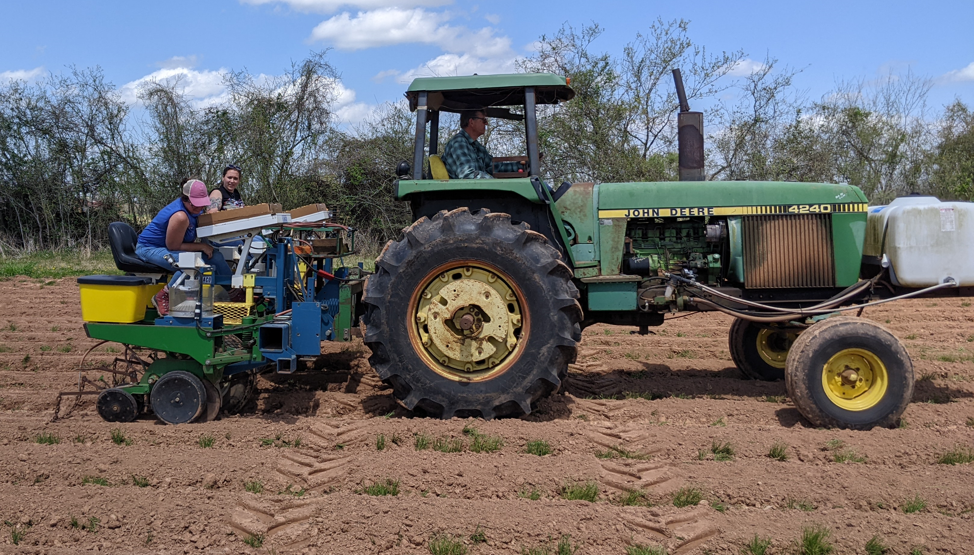 2022 LSU AgCenter Planting Date Trial 